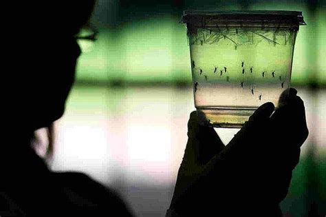Z­i­k­a­ ­V­i­r­ü­s­ü­ ­R­u­s­y­a­­y­a­ ­d­a­ ­S­ı­ç­r­a­d­ı­